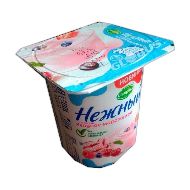 ЙОГУРТ CAMPINA НЕЖНЫЙ ЯГОДНОЕ МОРОЖЕНОЕ 1,2% 100Г