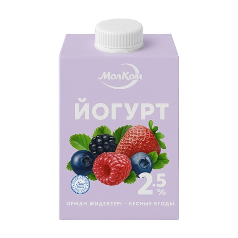 ЙОГУРТ ПИТЬЕВОЙ МОЛКОМ ЛЕСНЫЕ ЯГОДЫ 450Г Т/П