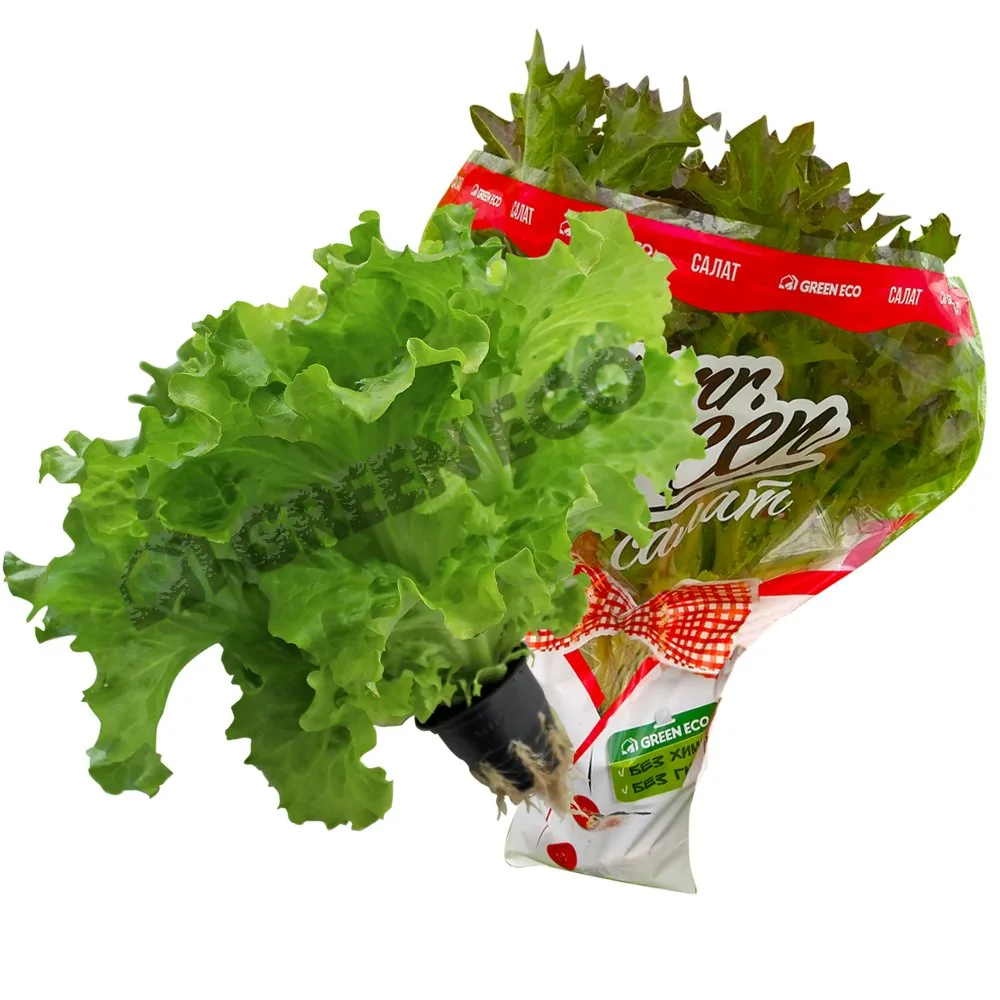 САЛАТ GREEN ECO ПРЯМО С ГРЯДКИ