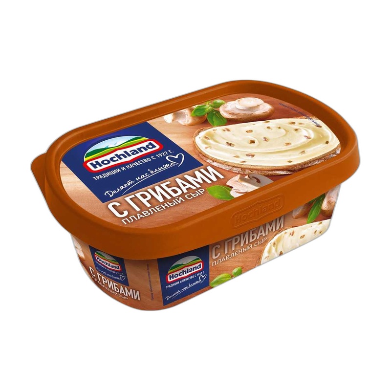 СЫР HOCHLAND С ГРИБАМИ 200Г ВАННОЧКА