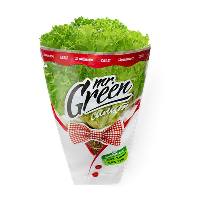 САЛАТ MR.GREEN ФРИЗЕ ЗЕЛЕНЫЙ