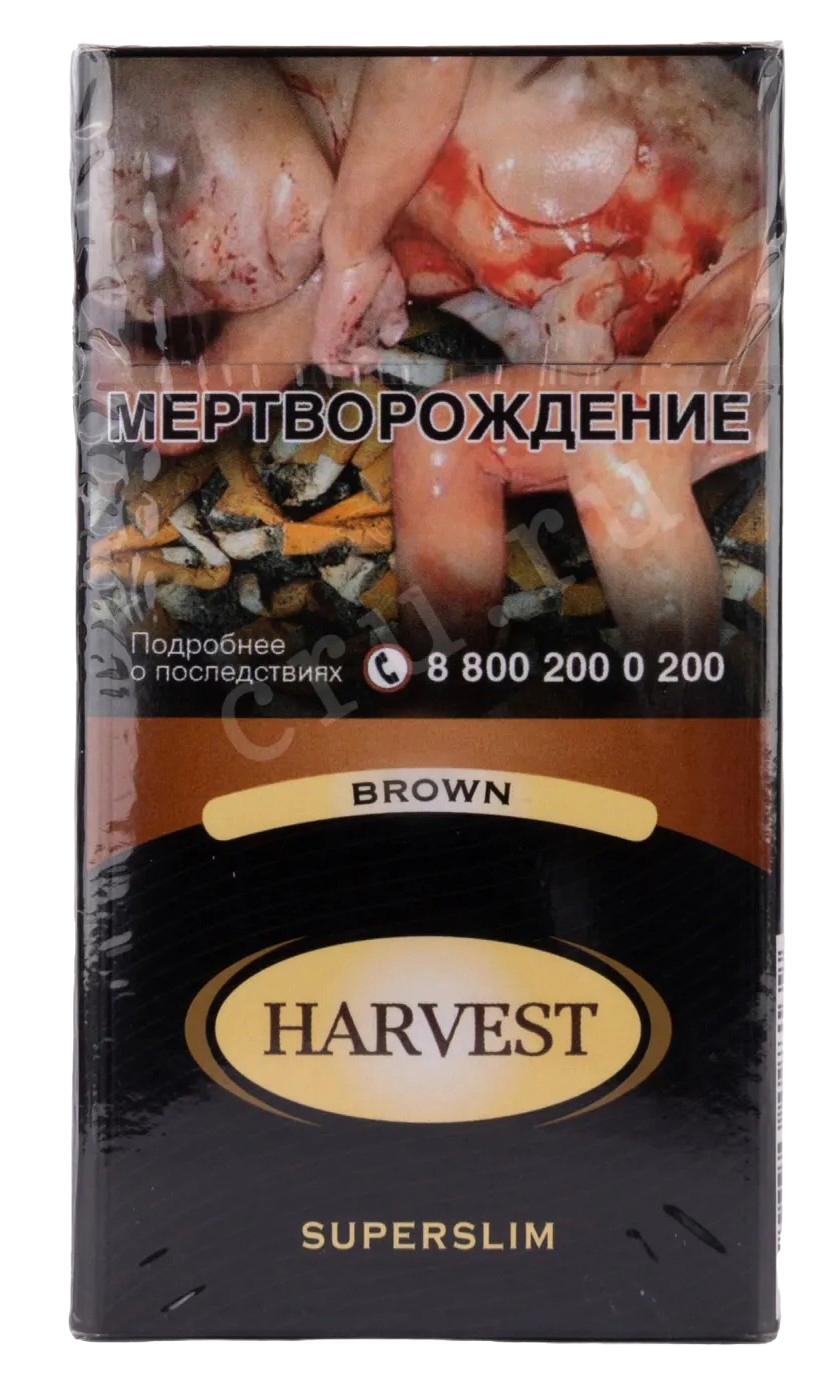 СИГАРЕТЫ HARVEST BROUN SSL 100