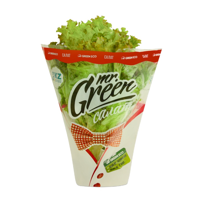 САЛАТ MR.GREEN ЛОЛЛО РОССА